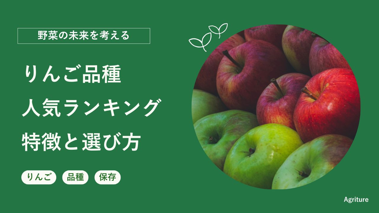 りんご品種人気ランキング！特徴と選び方を徹底比較ガイド | 国産の 