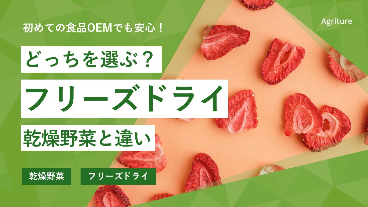 フリーズドライと乾燥野菜は何が違う？用途・コスト・ロットで選ぶ徹底比較