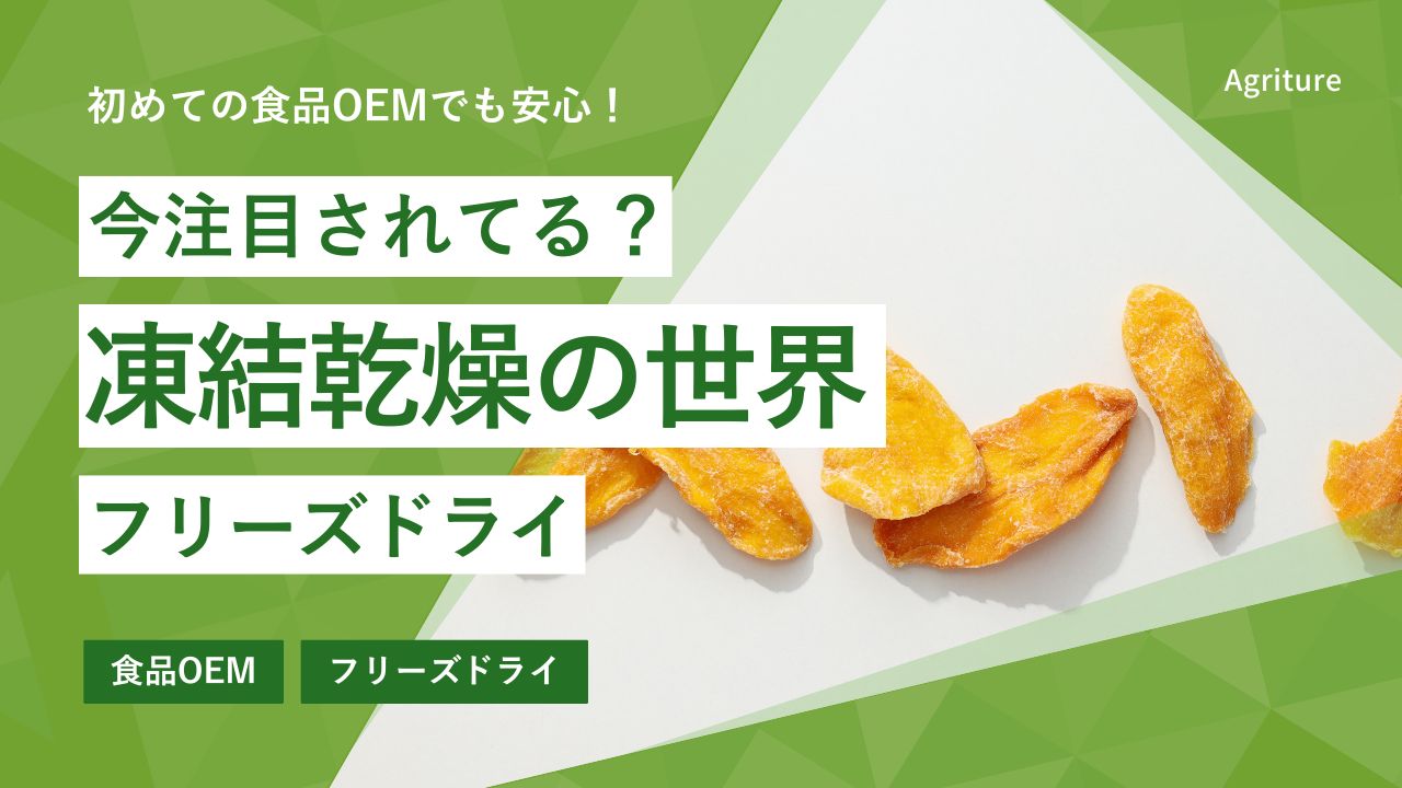フリーズドライとは？味噌汁・野菜・いちごに広がる乾燥技術をやさしく