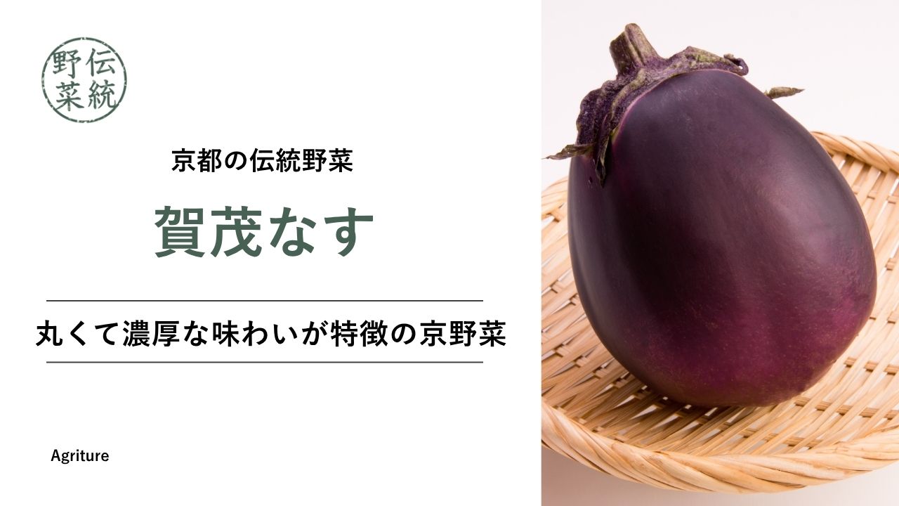 賀茂読み方