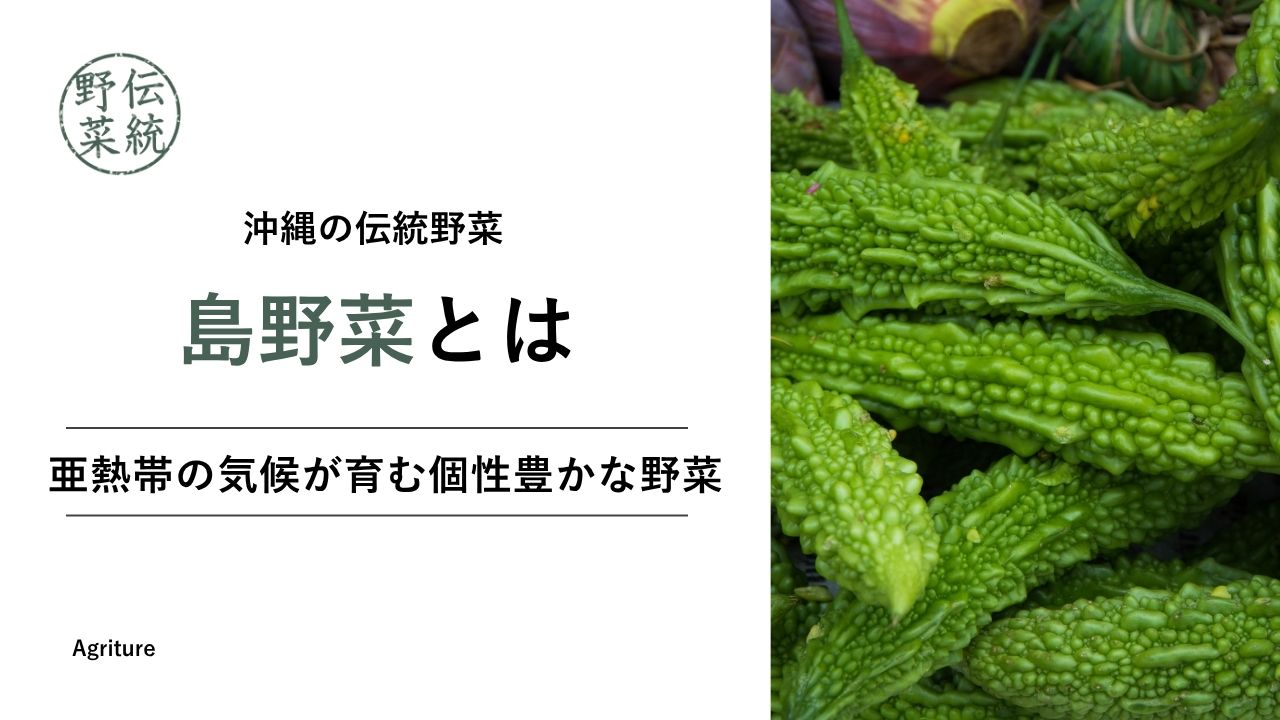 沖縄の島野菜：亜熱帯の気候が育む個性豊かな野菜 | 国産の乾燥野菜