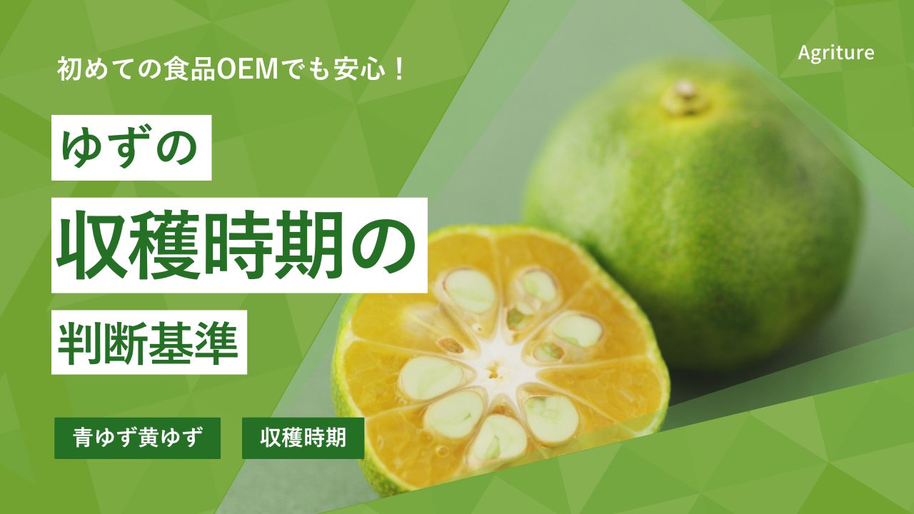 ゆずの収穫時期を解説｜青ゆず・黄ゆずの見極め方 | 国産の乾燥野菜