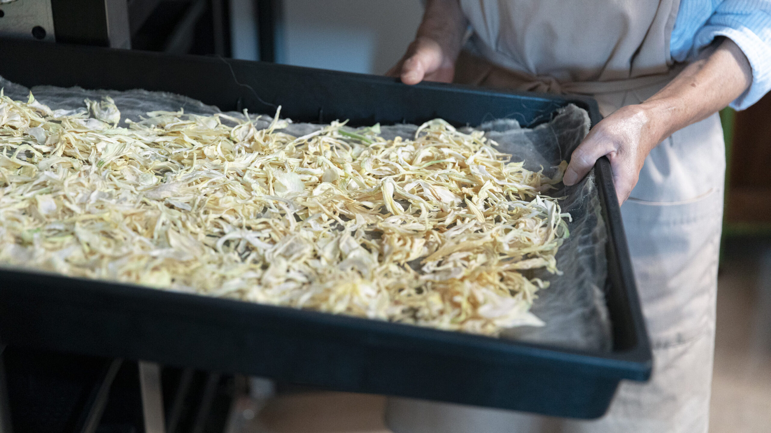 乾燥野菜の加工風景